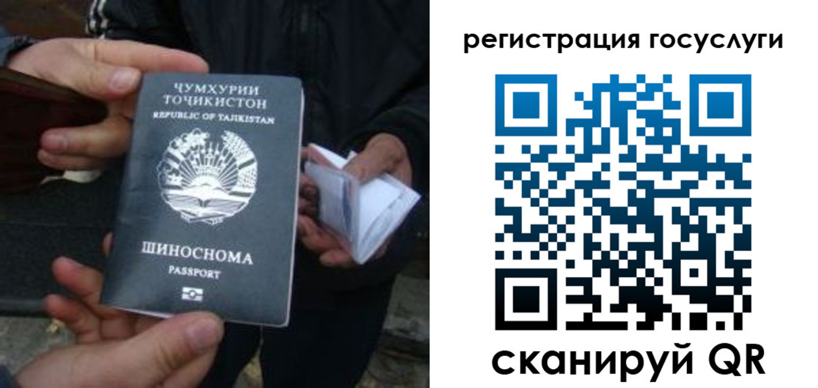 прописка регистрация в Железногорске